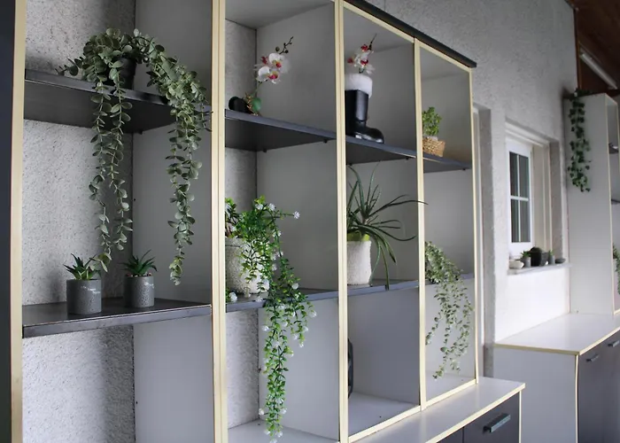 Trudy's Vakantiehuis